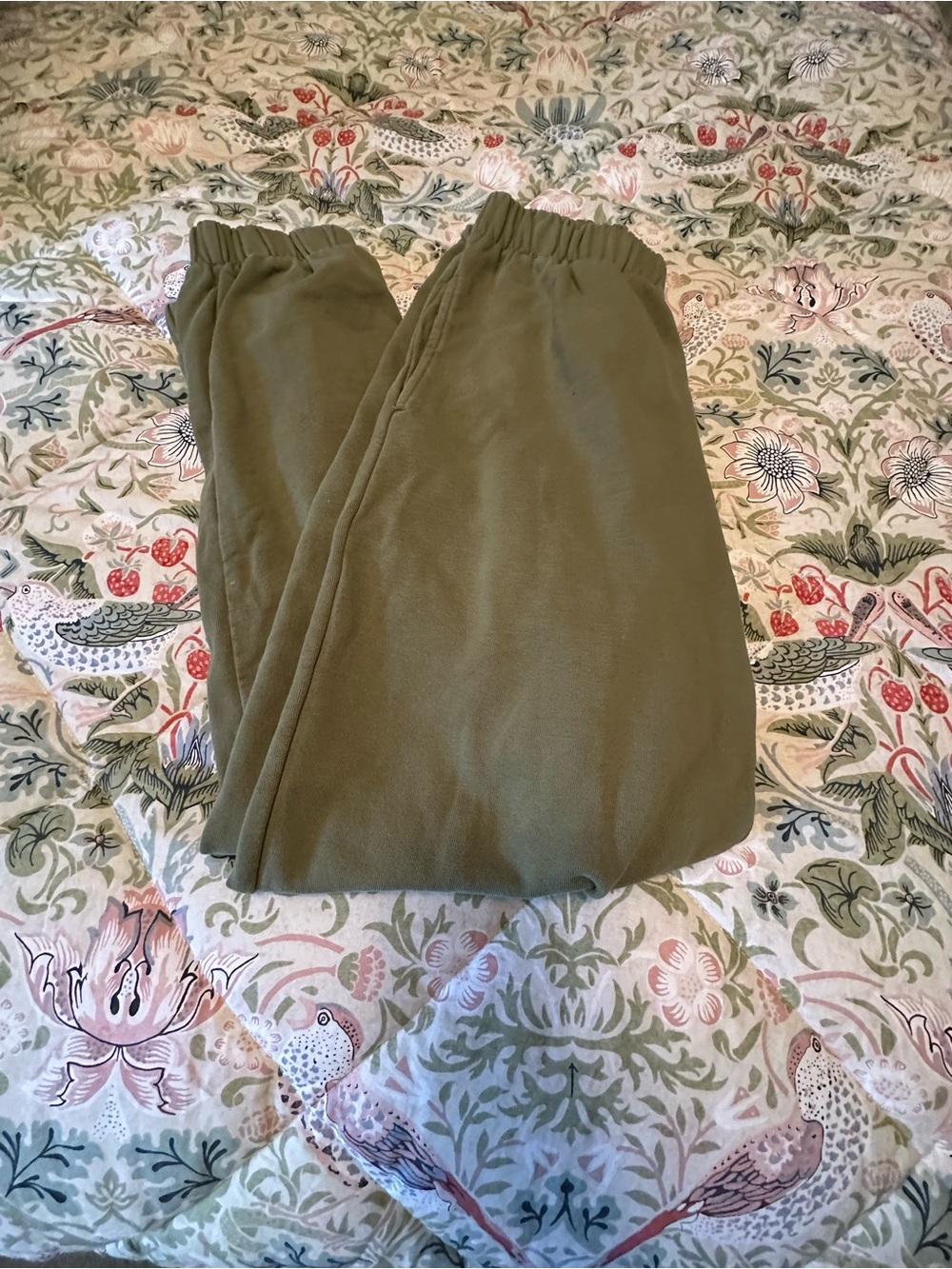 Brandy Melville Green Elastic Waist Joggers